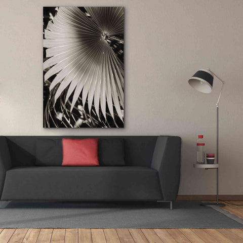Image of 'Palm Frond 2' by Debra Van Swearingen, Canvas Wall Art,40 x 60