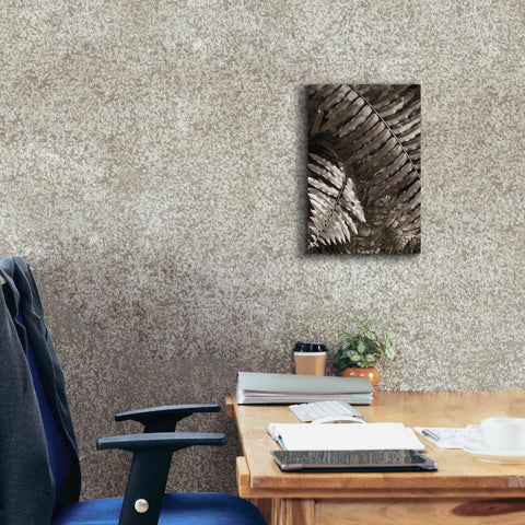 Image of 'Fern I' by Debra Van Swearingen, Canvas Wall Art,12 x 18