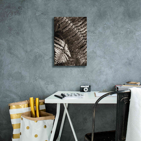 Image of 'Fern I' by Debra Van Swearingen, Canvas Wall Art,12 x 18