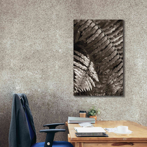 Image of 'Fern I' by Debra Van Swearingen, Canvas Wall Art,26 x 40