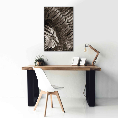 Image of 'Fern I' by Debra Van Swearingen, Canvas Wall Art,26 x 40
