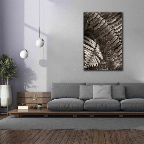 Image of 'Fern I' by Debra Van Swearingen, Canvas Wall Art,40 x 60
