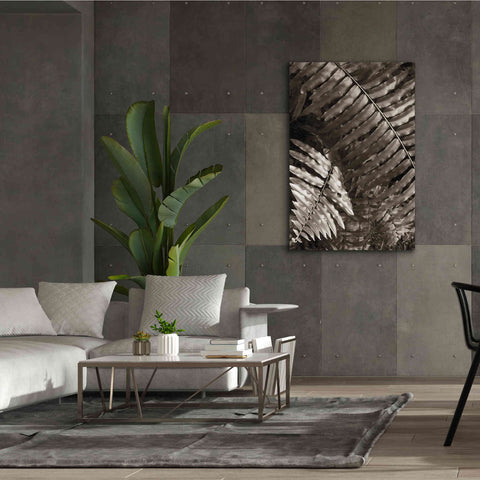 Image of 'Fern I' by Debra Van Swearingen, Canvas Wall Art,40 x 60