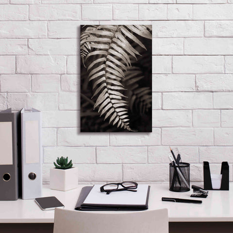 Image of 'Fern II' by Debra Van Swearingen, Canvas Wall Art,12 x 18