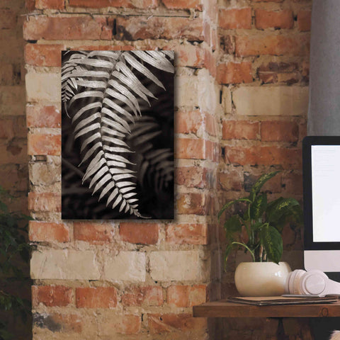 Image of 'Fern II' by Debra Van Swearingen, Canvas Wall Art,12 x 18