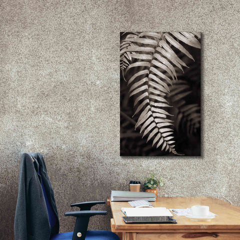 Image of 'Fern II' by Debra Van Swearingen, Canvas Wall Art,26 x 40
