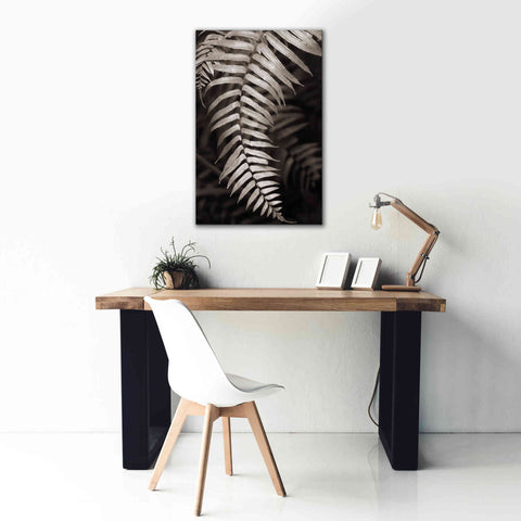 Image of 'Fern II' by Debra Van Swearingen, Canvas Wall Art,26 x 40