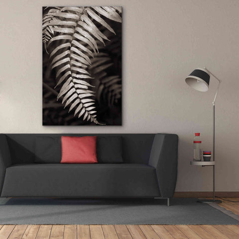 Image of 'Fern II' by Debra Van Swearingen, Canvas Wall Art,40 x 60
