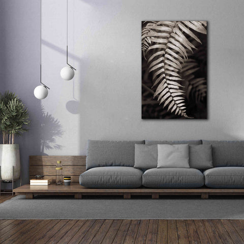 Image of 'Fern II' by Debra Van Swearingen, Canvas Wall Art,40 x 60