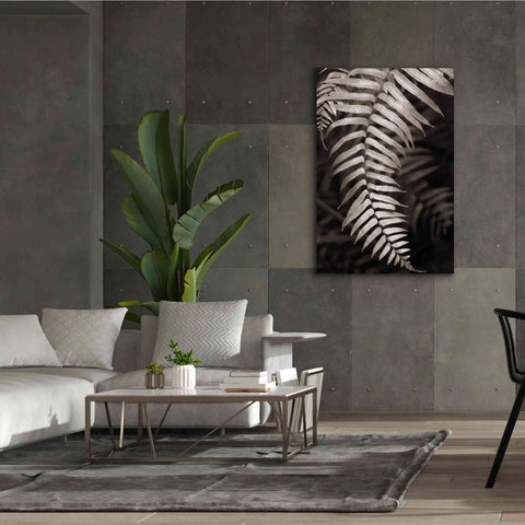 Image of 'Fern II' by Debra Van Swearingen, Canvas Wall Art,40 x 60