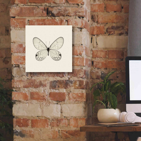 Image of 'Butterfly I B&W' by Debra Van Swearingen, Canvas Wall Art,12 x 12