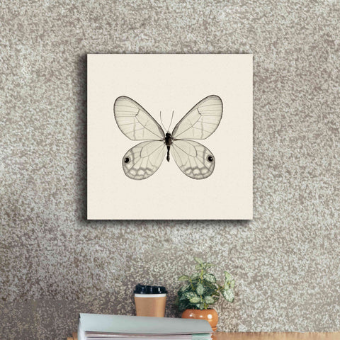 Image of 'Butterfly I B&W' by Debra Van Swearingen, Canvas Wall Art,18 x 18