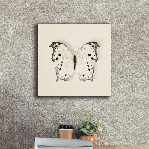 Image of 'Butterfly IV B&W' by Debra Van Swearingen, Canvas Wall Art,18 x 18