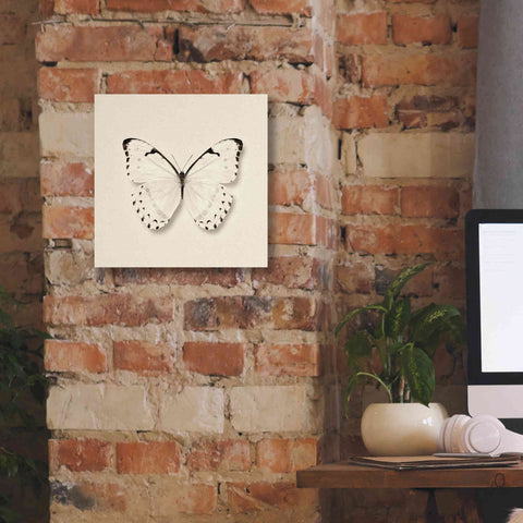 Image of 'Butterfly II B&W' by Debra Van Swearingen, Canvas Wall Art,12 x 12