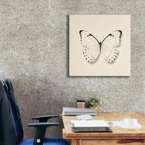 Image of 'Butterfly II B&W' by Debra Van Swearingen, Canvas Wall Art,26 x 26