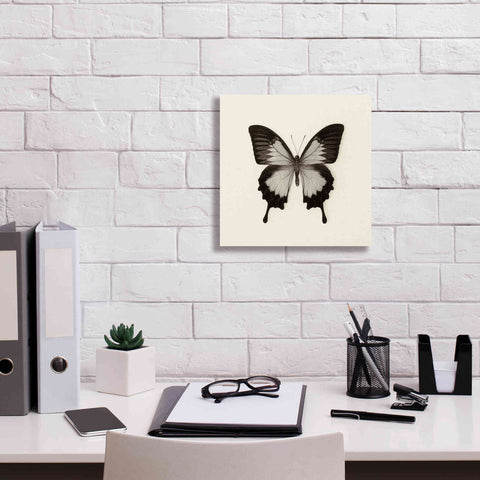 Image of 'Butterfly III B&W' by Debra Van Swearingen, Canvas Wall Art,12 x 12