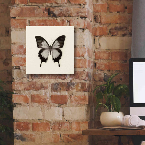 Image of 'Butterfly III B&W' by Debra Van Swearingen, Canvas Wall Art,12 x 12