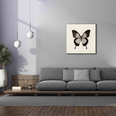 Image of 'Butterfly III B&W' by Debra Van Swearingen, Canvas Wall Art,37 x 37