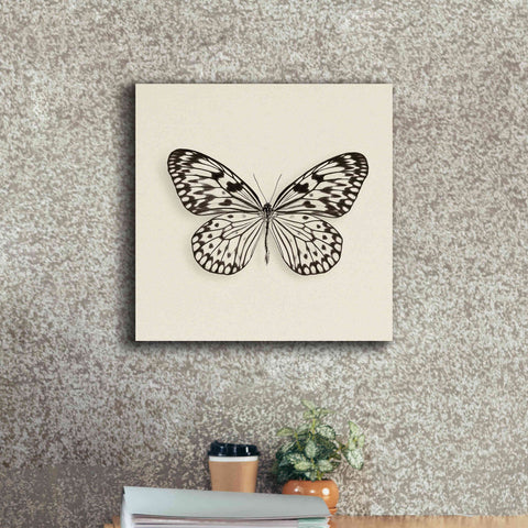 Image of 'Butterfly V B&W' by Debra Van Swearingen, Canvas Wall Art,18 x 18