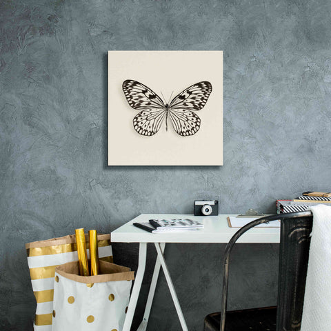 Image of 'Butterfly V B&W' by Debra Van Swearingen, Canvas Wall Art,18 x 18
