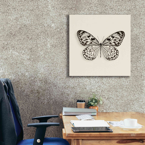 Image of 'Butterfly V B&W' by Debra Van Swearingen, Canvas Wall Art,26 x 26
