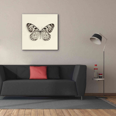 Image of 'Butterfly V B&W' by Debra Van Swearingen, Canvas Wall Art,37 x 37