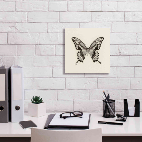 Image of 'Butterfly VI B&W' by Debra Van Swearingen, Canvas Wall Art,12 x 12