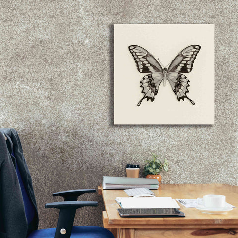 Image of 'Butterfly VI B&W' by Debra Van Swearingen, Canvas Wall Art,26 x 26