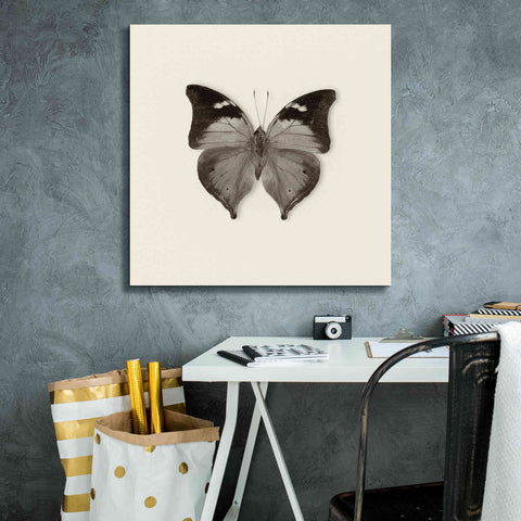 Image of 'Butterfly VII B&W' by Debra Van Swearingen, Canvas Wall Art,26 x 26