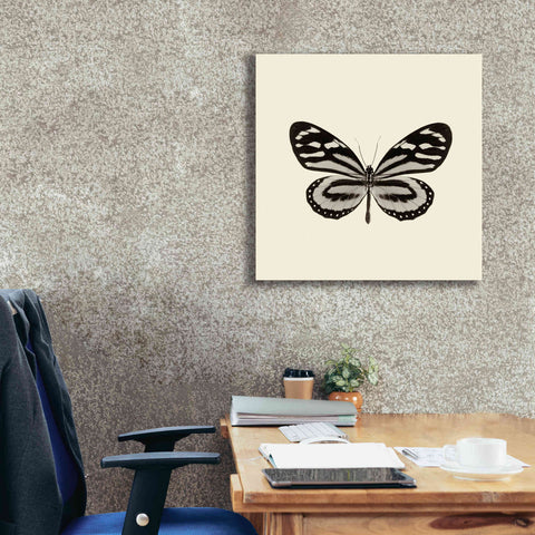 Image of 'Butterfly VIII B&W' by Debra Van Swearingen, Canvas Wall Art,26 x 26