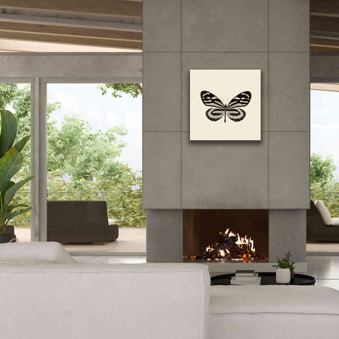 Image of 'Butterfly VIII B&W' by Debra Van Swearingen, Canvas Wall Art,26 x 26