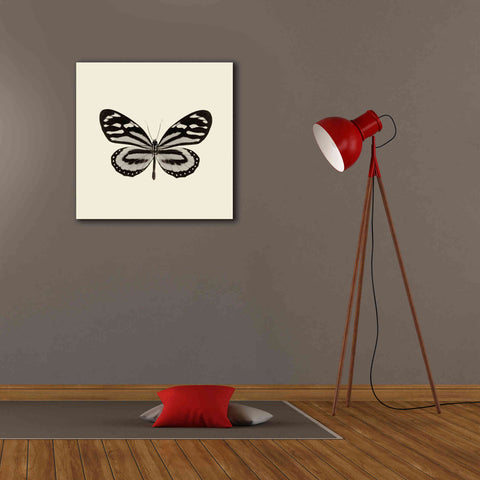Image of 'Butterfly VIII B&W' by Debra Van Swearingen, Canvas Wall Art,26 x 26