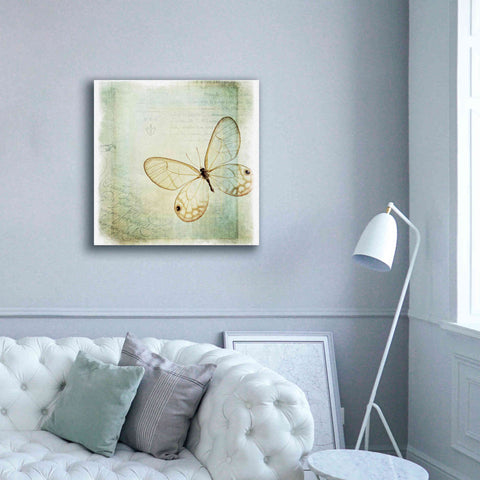 Image of 'Floating Butterfly I' by Debra Van Swearingen, Canvas Wall Art,37 x 37