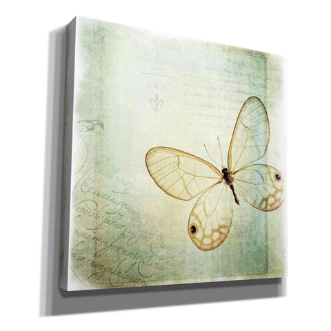 Image of 'Floating Butterfly I' by Debra Van Swearingen, Canvas Wall Art,12x12x1.1x0,18x18x1.1x0,26x26x1.74x0,37x37x1.74x0