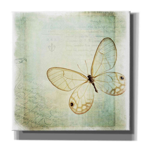 Image of 'Floating Butterfly I' by Debra Van Swearingen, Canvas Wall Art,12x12x1.1x0,18x18x1.1x0,26x26x1.74x0,37x37x1.74x0