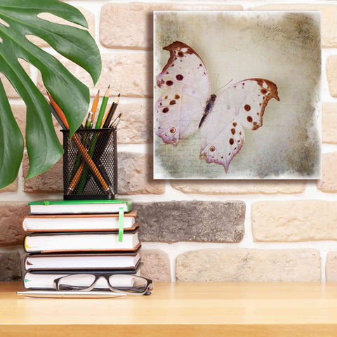 Image of 'Floating Butterfly II' by Debra Van Swearingen, Canvas Wall Art,12 x 12