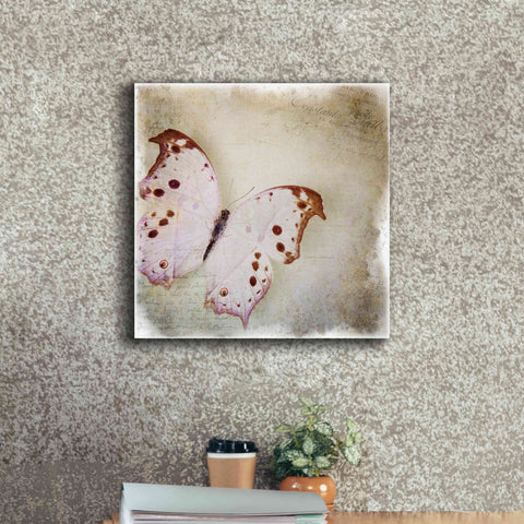 Image of 'Floating Butterfly II' by Debra Van Swearingen, Canvas Wall Art,18 x 18
