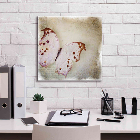 Image of 'Floating Butterfly II' by Debra Van Swearingen, Canvas Wall Art,18 x 18