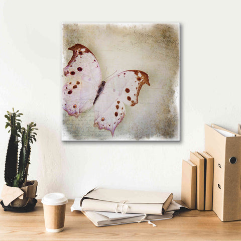 Image of 'Floating Butterfly II' by Debra Van Swearingen, Canvas Wall Art,18 x 18