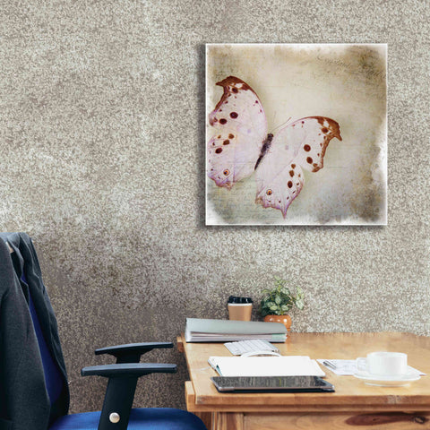 Image of 'Floating Butterfly II' by Debra Van Swearingen, Canvas Wall Art,26 x 26