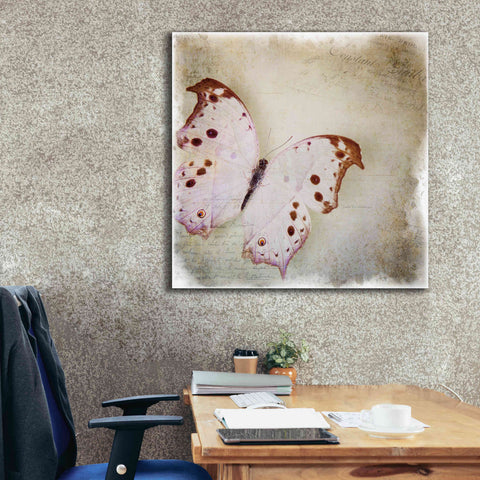 Image of 'Floating Butterfly II' by Debra Van Swearingen, Canvas Wall Art,37 x 37