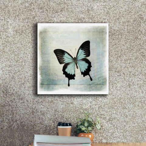 Image of 'Floating Butterfly III' by Debra Van Swearingen, Canvas Wall Art,18 x 18