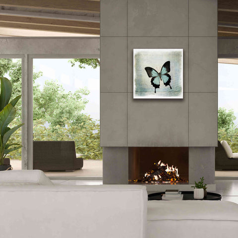 Image of 'Floating Butterfly III' by Debra Van Swearingen, Canvas Wall Art,26 x 26