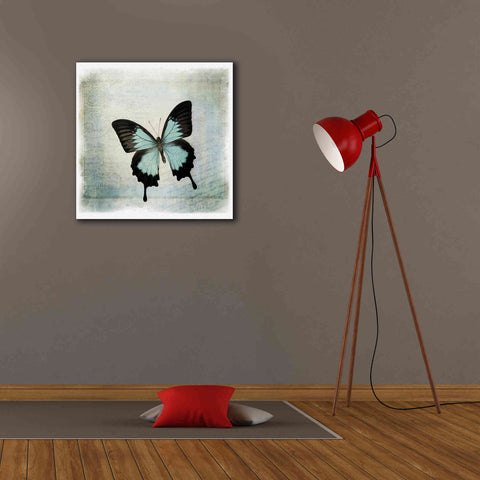 Image of 'Floating Butterfly III' by Debra Van Swearingen, Canvas Wall Art,26 x 26