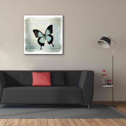 Image of 'Floating Butterfly III' by Debra Van Swearingen, Canvas Wall Art,37 x 37