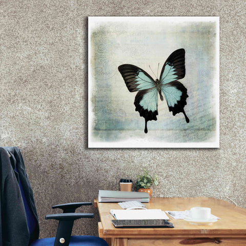 Image of 'Floating Butterfly III' by Debra Van Swearingen, Canvas Wall Art,37 x 37