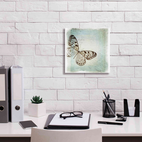 Image of 'Floating Butterfly IV' by Debra Van Swearingen, Canvas Wall Art,12 x 12