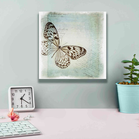 Image of 'Floating Butterfly IV' by Debra Van Swearingen, Canvas Wall Art,12 x 12