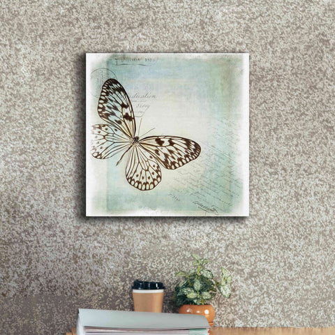 Image of 'Floating Butterfly IV' by Debra Van Swearingen, Canvas Wall Art,18 x 18