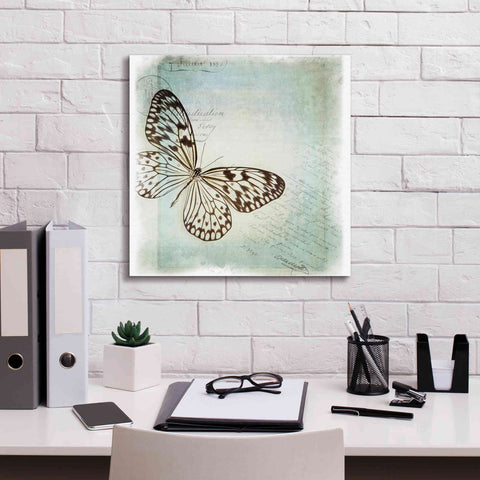 Image of 'Floating Butterfly IV' by Debra Van Swearingen, Canvas Wall Art,18 x 18